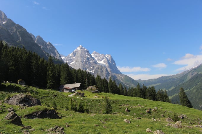 Alp Grossrychenbach  Bild: C. Schatzmann