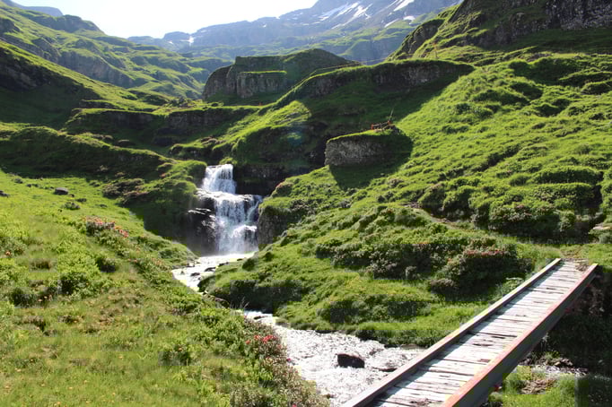 Der noch ganz junge Giessbach.  Bild: C. Schatzmann