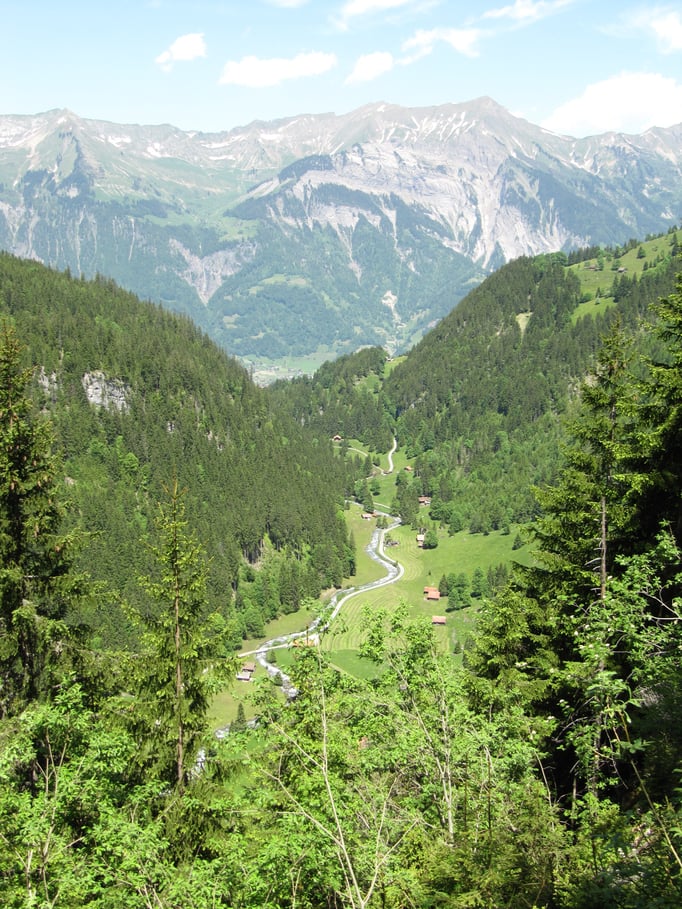 Blick talauswärts, kurz vor Erreichen der Höhenstufe. Bild: C. Schatzmann