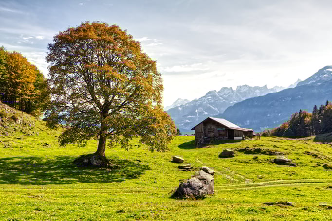 Herbststimmung auf dem Brüniger Älpeli.  Bild: C. Schatzmann