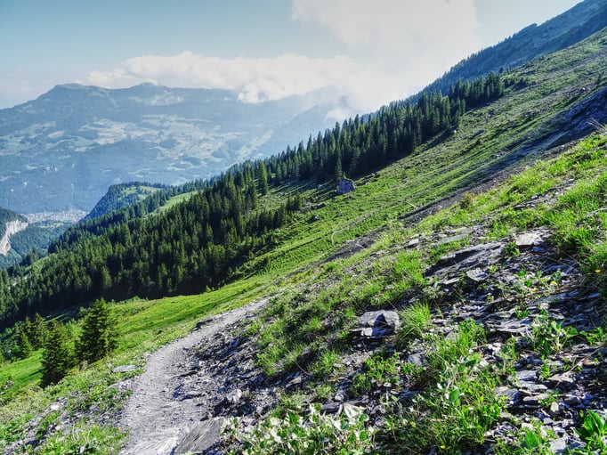 Auf der Alp Grossreichenbach: Blick zum Graaggistein. Bild: Claudia Schatzmann