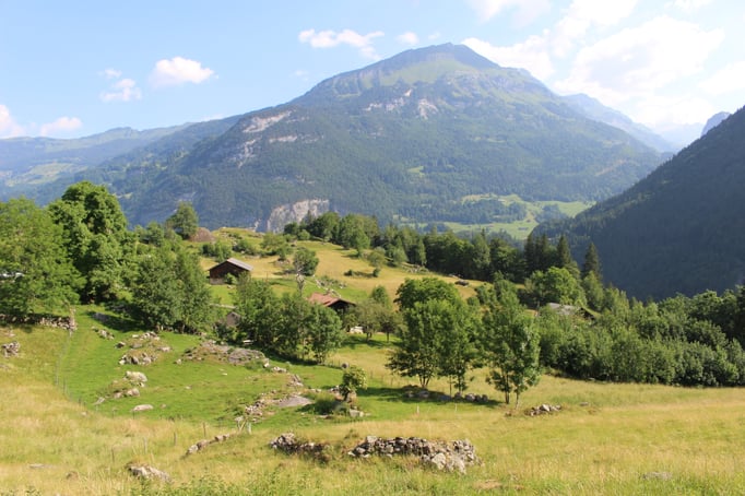  Vom Syteli nach Understock führt ein Mosaik aus Wiesen, Weiden und Gehölzen. Das Gebiet ist  reizvoll strukturiert und weist einen grossen Artenreichtum auf.  Bild: C. Schatzmann