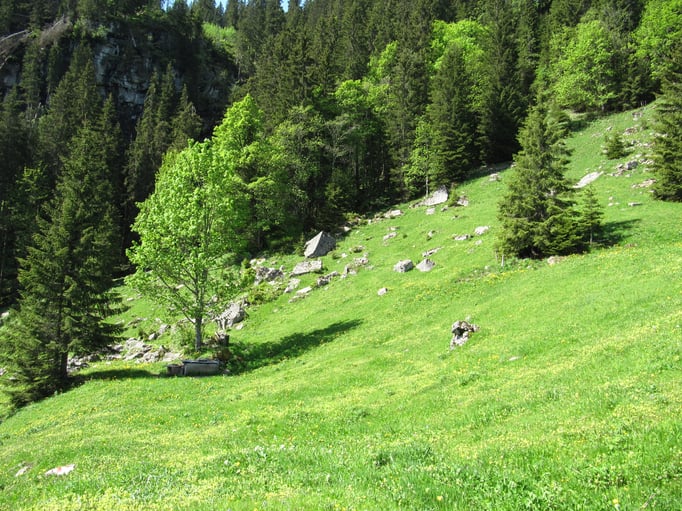 Im Botchenhals. Bild: C. Schatzmann