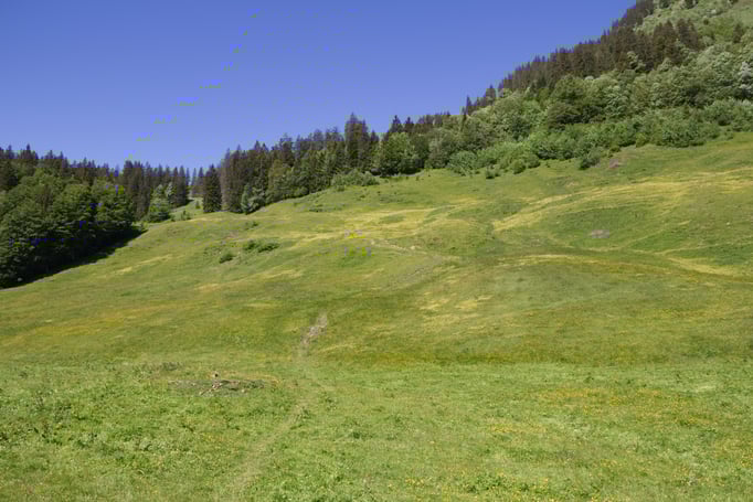 In der Schäri: Blick zurück in Richtung Wiler-Vorsess.   Bild: C. Schatzmann