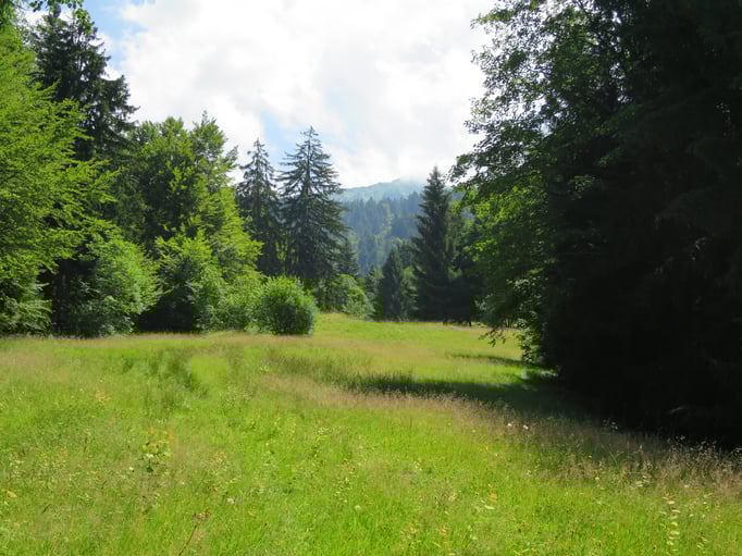 Stoffelberg-Allmi  Bild: Andreas Staeger