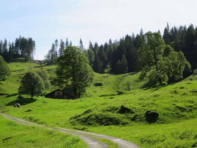 In sanftem Anstieg führt ein Kiessträsschen talauswärts von Rüötsperri nach Hohbalm.   Bild: Andreas Staeger