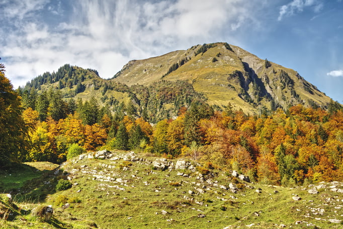 Herbststimmung auf dem Brüniger Älpeli.  Bild: C. Schatzmann