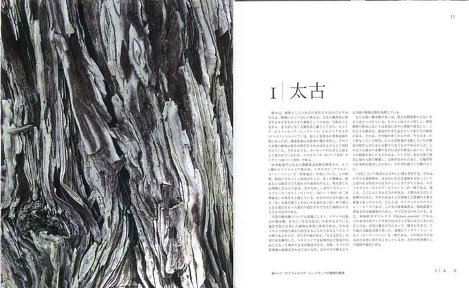 樹木はどれだけ長生きするのか。第1章【太古】では個体として、また種としてのはかりしれない寿命を考える