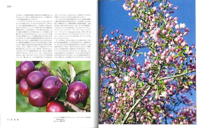 中央アジアが原産というリンゴ。世界各地で固有種が生まれ、少なくとも7500種が知られている