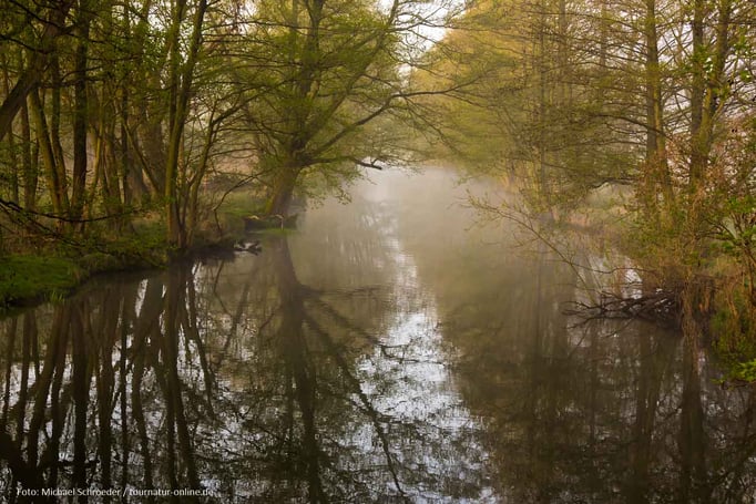 Frühmorgens an einem der vielen Kanäle im Spreewald