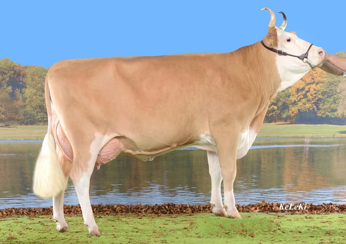 Championne du pis : Dario MELITTA, Maurer Hans, Wichtrach