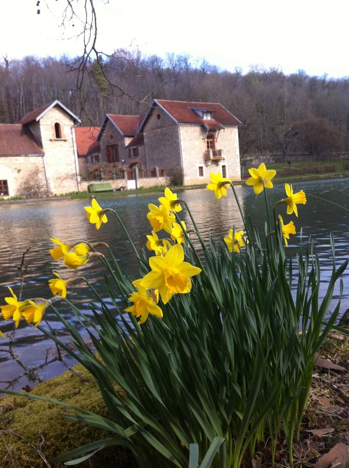 Vivement le printemps..