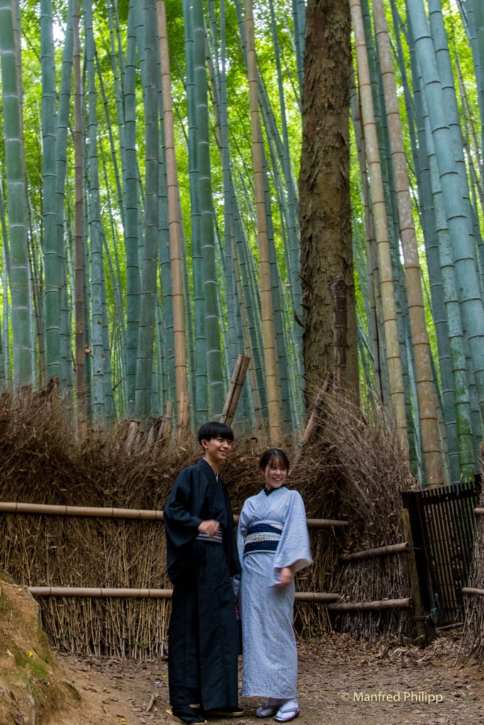 Im Bambushain in Arashiyama, Kyoto