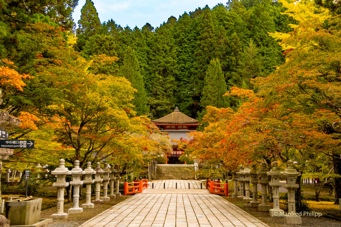 Herbst in Koya-san