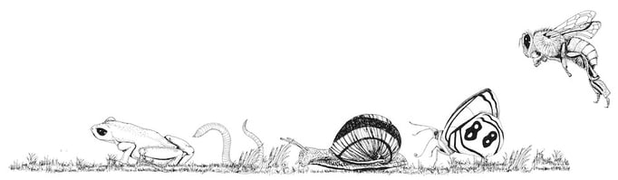 Banner for wildergarten.ch