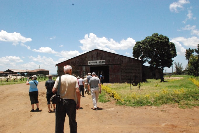 Sisal Plantage mit Fabrik zur Sisal Verarbeitung