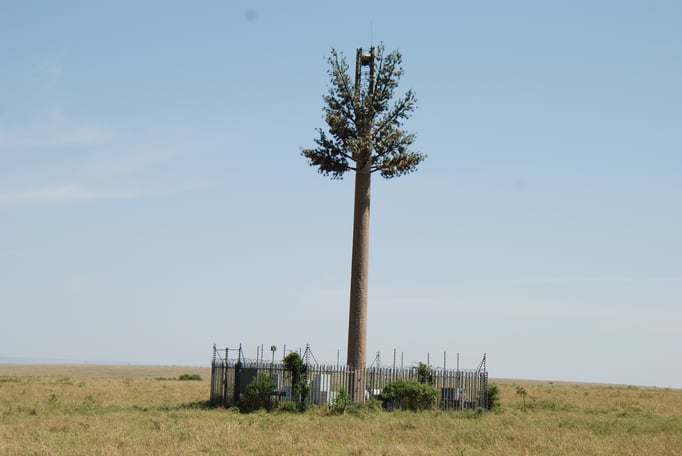Massai Mara, Funkmast als Palme getarnt