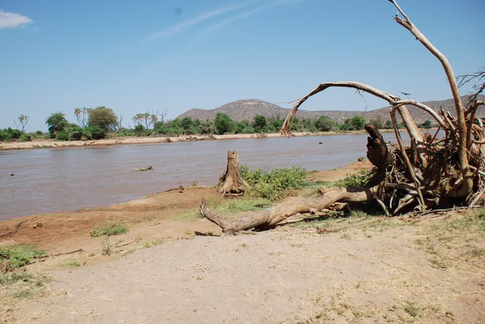 Samburu Nationalpark,  am Uaso Nyiro Fluss