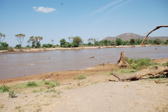 Samburu Nationalpark,  am Uaso Nyiro Fluss