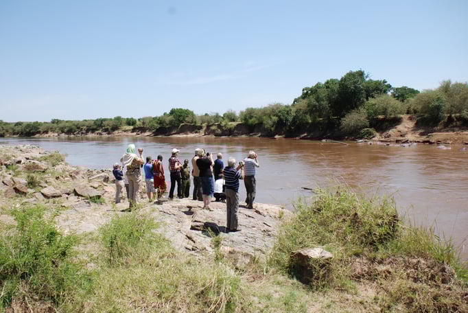 Massai Mara, Flußperdebeoabachtung 