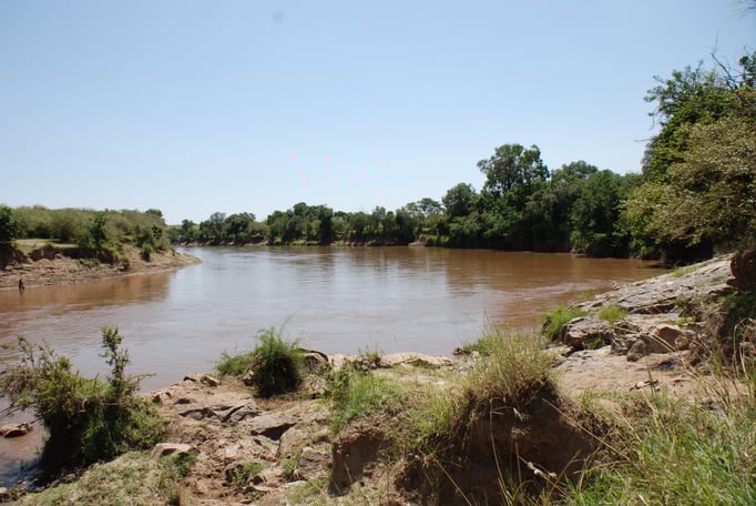 Massai Mara, Flußperde