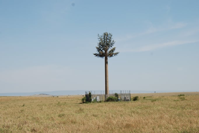 Massai Mara, Funkmast als Palme getarnt