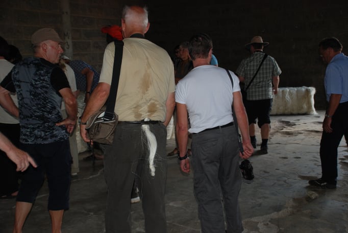 Sisal Plantage mit Fabrik zur Sisal Verarbeitung