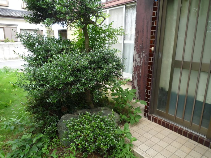 大橋工務店 K邸新築日記 現地確認