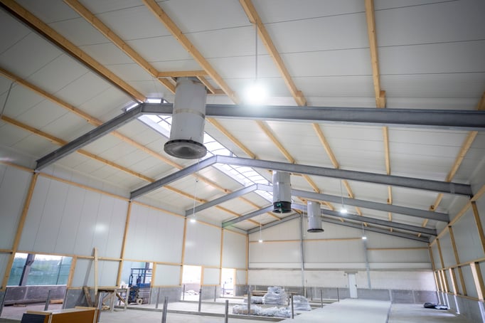 Abluftkamine in einem Sauenstall mit Haltungsstufe 4