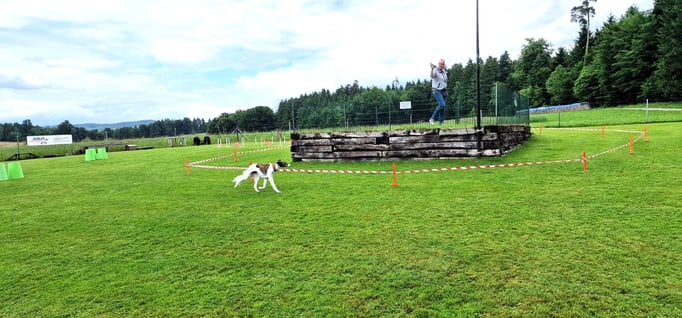 Longierkurs © Hundeschule gooddog