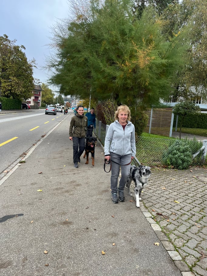 Führung © Hundeschule gooddog