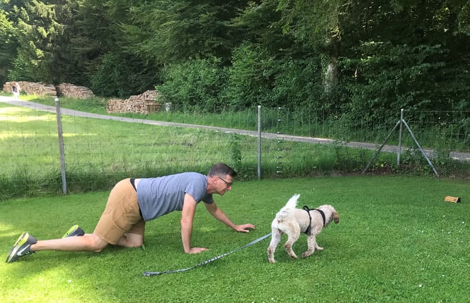 Führung © Hundeschule gooddog