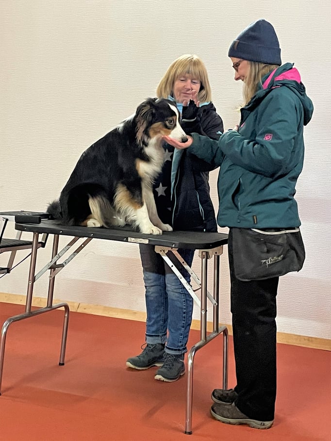 Clicker-Training © Hundeschule gooddog