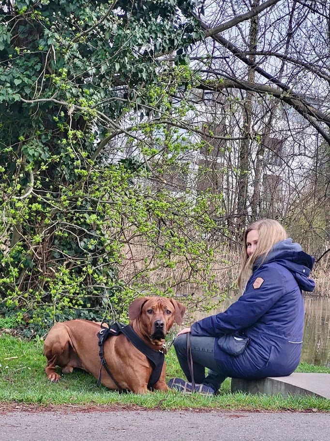 Führung © Hundeschule gooddog