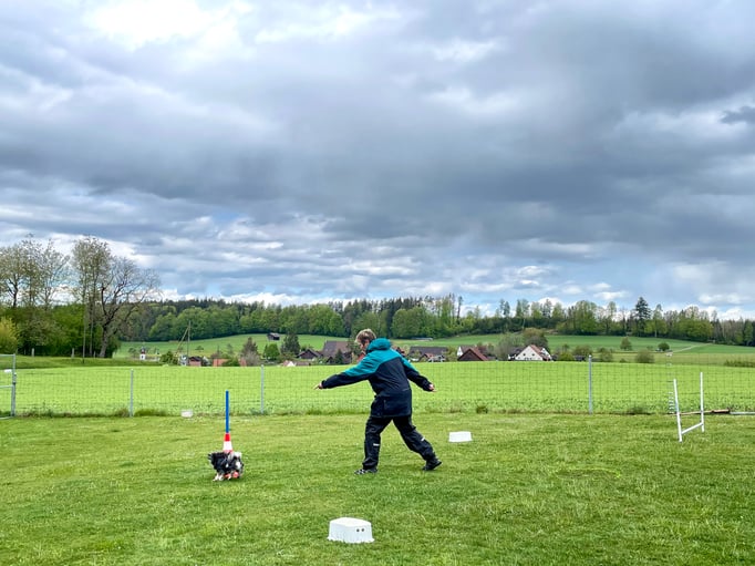 ZirkelSpass © Hundeschule gooddog