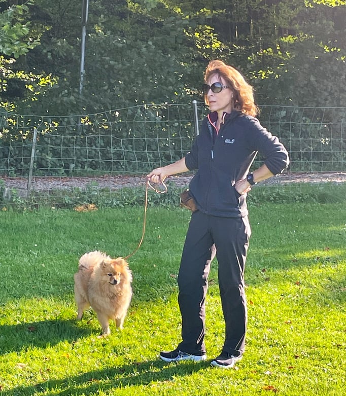 Ringtraining © Hundeschule gooddog