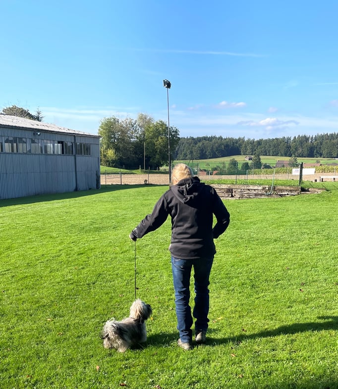 Ringtraining © Hundeschule gooddog