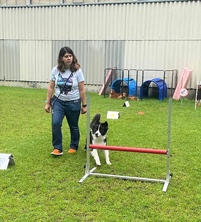 Rally-Obedience © Hundeschule gooddog