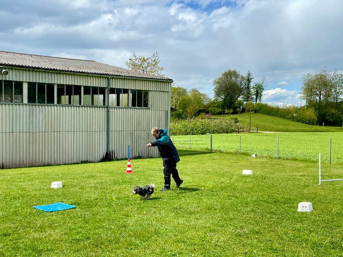 ZirkelSpass © Hundeschule gooddog