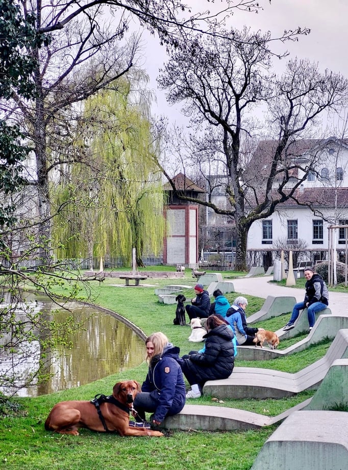 Führung © Hundeschule gooddog