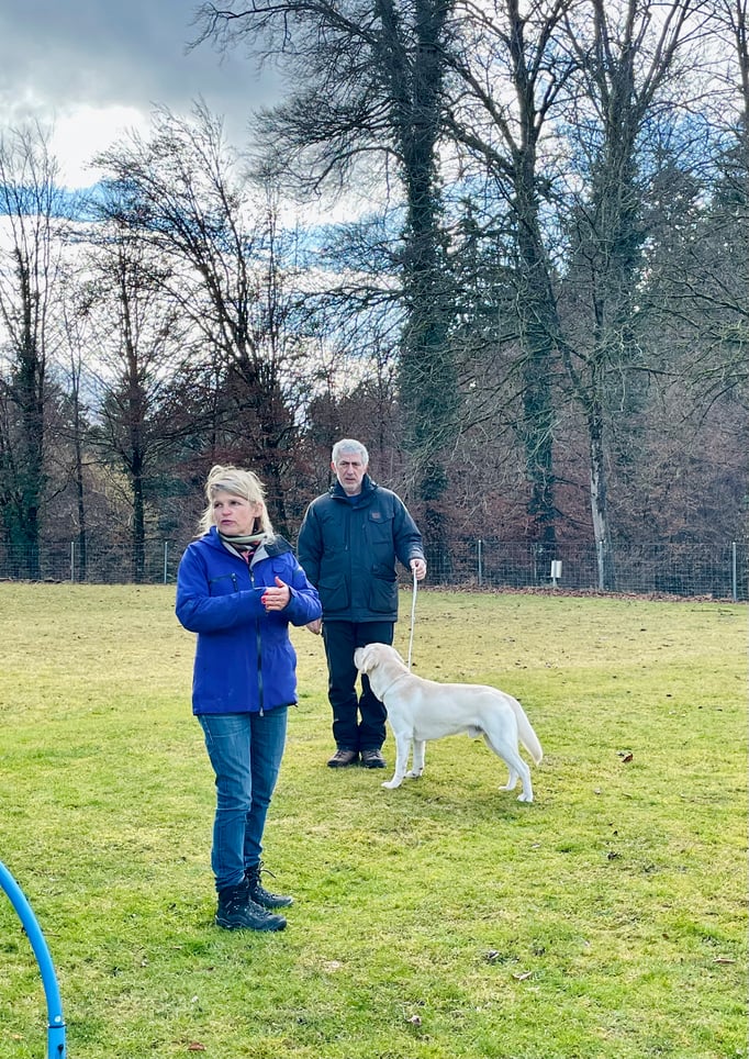 Ringtraining © Hundeschule gooddog