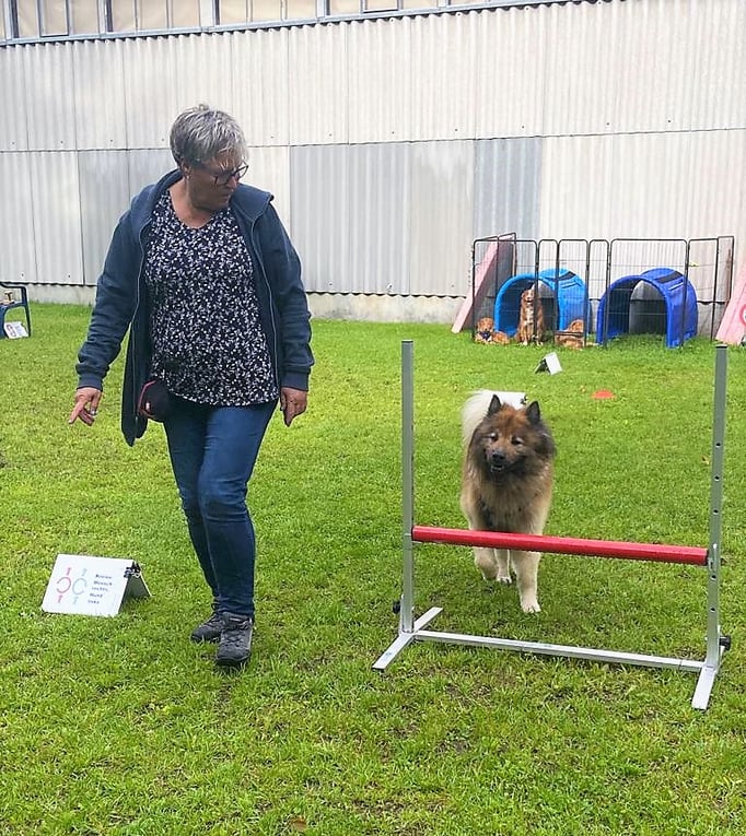 Rally-Obedience © Hundeschule gooddog