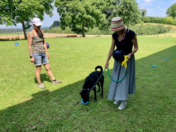 SpassSport © Hundeschule gooddog