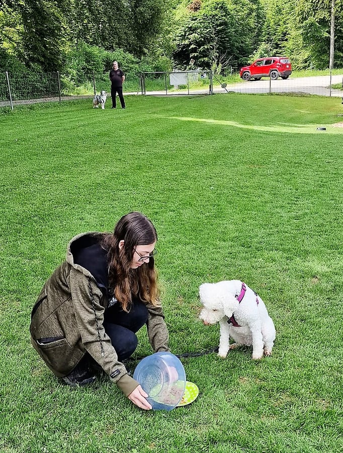 Anti-Giftköder-Kurs @ Hundeschule gooddog