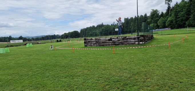 Longierkurs © Hundeschule gooddog