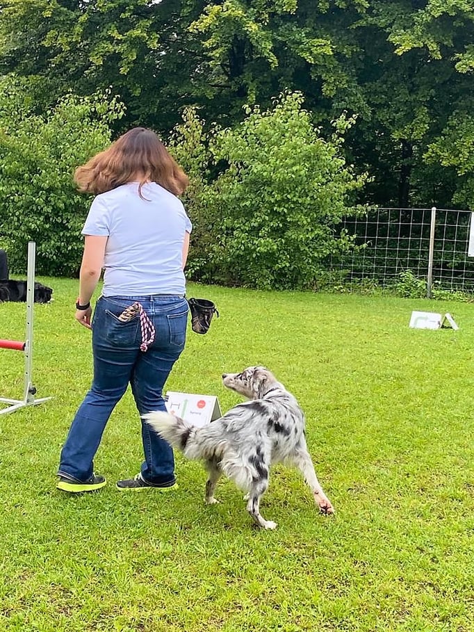 Rally-Obedience © Hundeschule gooddog
