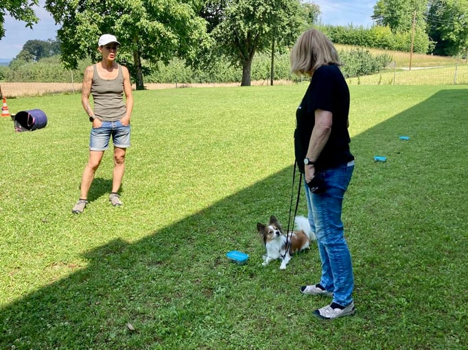 SpassSport © Hundeschule gooddog