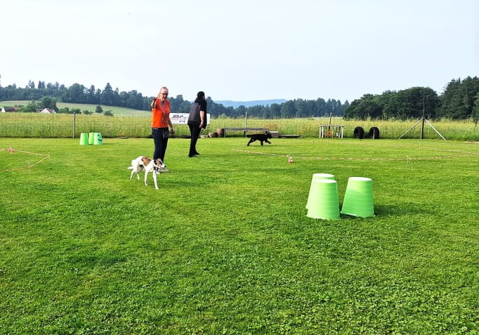 Longieren @ Hundeschule gooddog