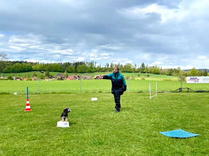 ZirkelSpass © Hundeschule gooddog