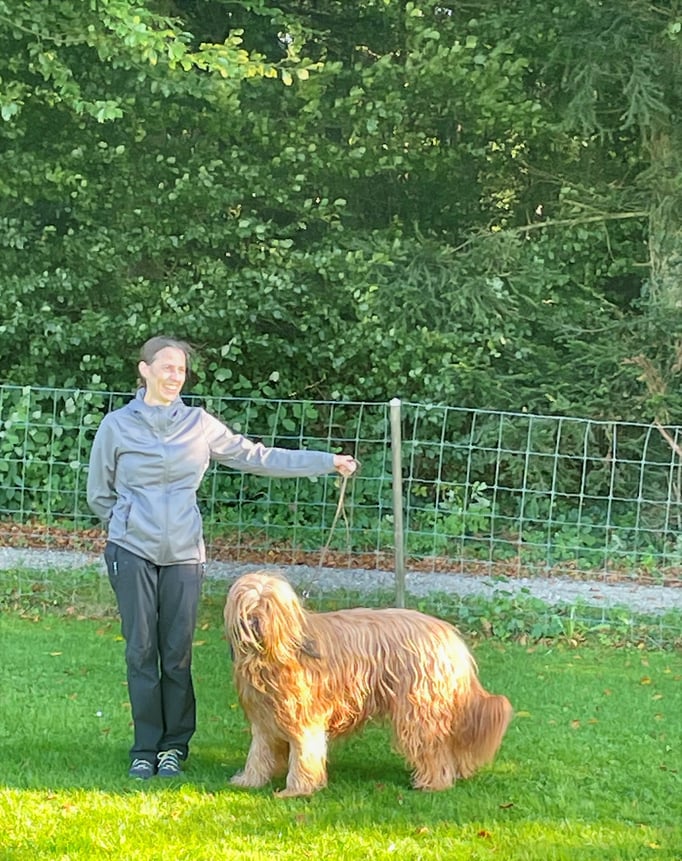 Ringtraining © Hundeschule gooddog